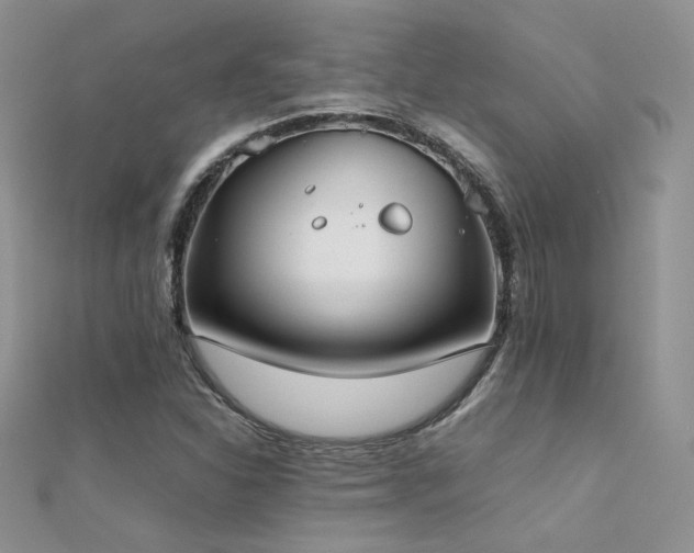 X0000112411310200908141352