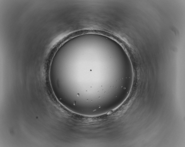 X0000112411311200908141352