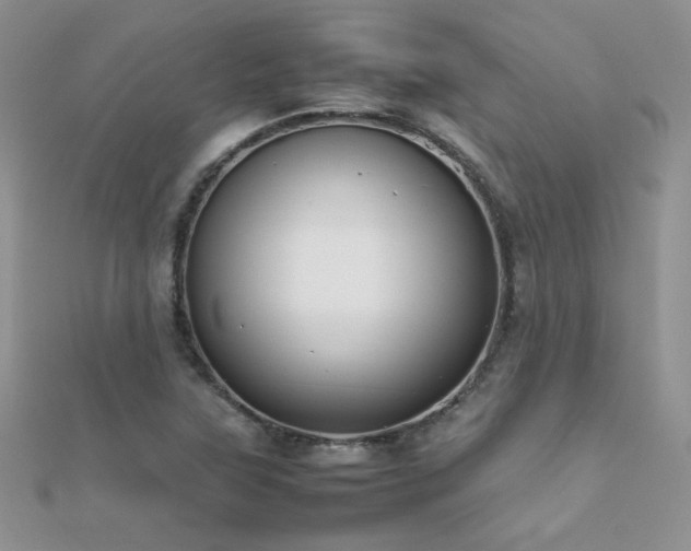 X0000112411315200908141352
