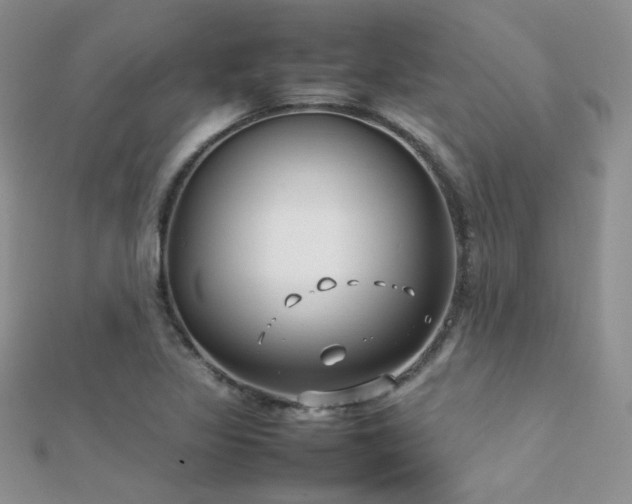 X0000112411317200908141352