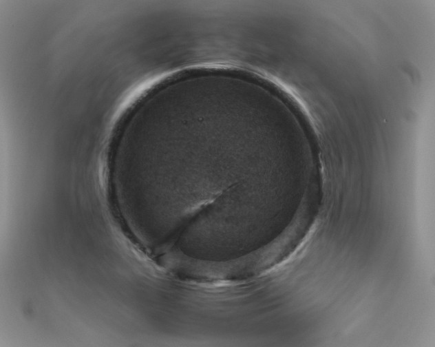 X0000112411319200908141352