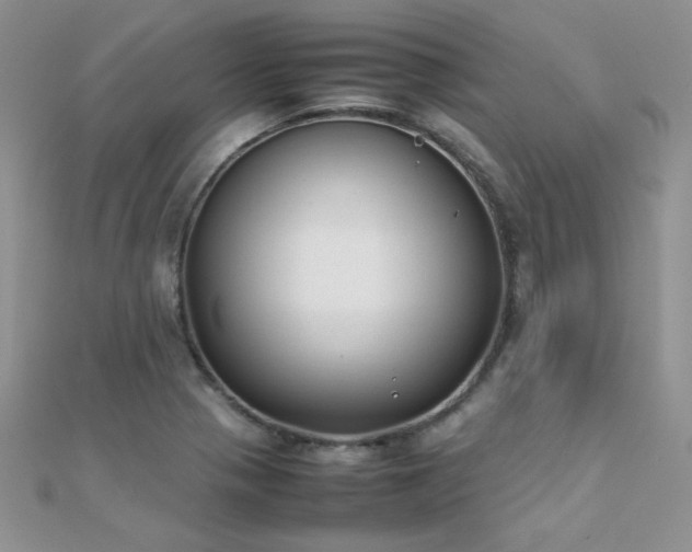 X0000112411321200908141352