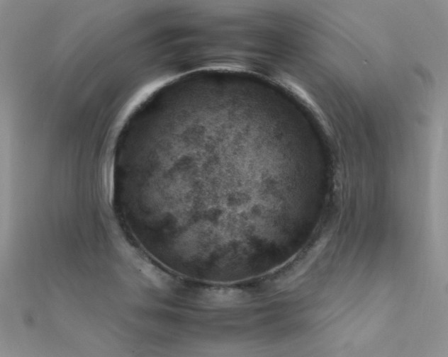 X0000112411323200908141352