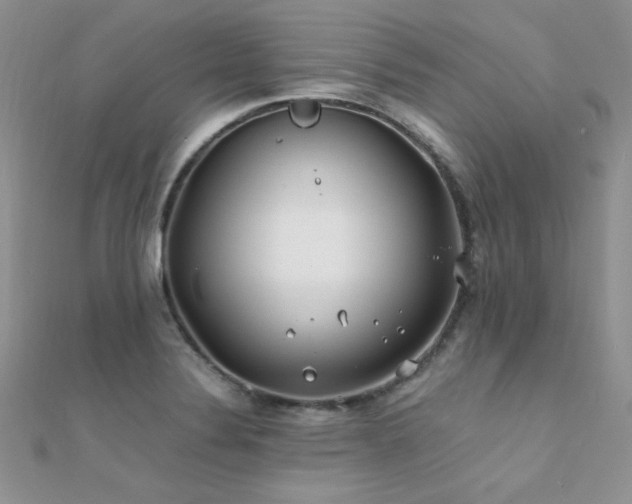 X0000112411324200908141352