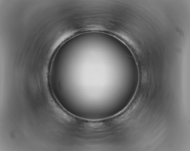X0000112411325200908141352