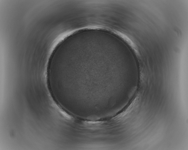 X0000112411327200908141352