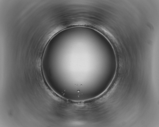 X0000112411329200908141352
