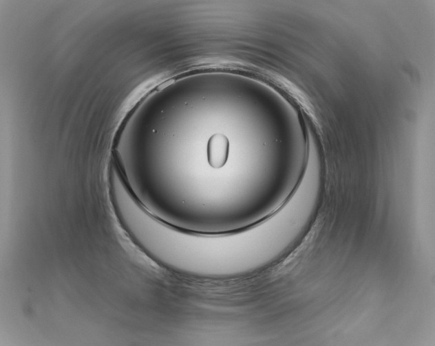 X0000112411330200908141352