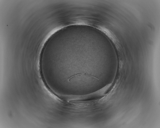 X0000112411331200908141352