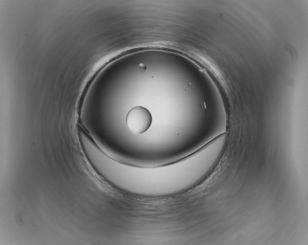 X0000112411332200908141352
