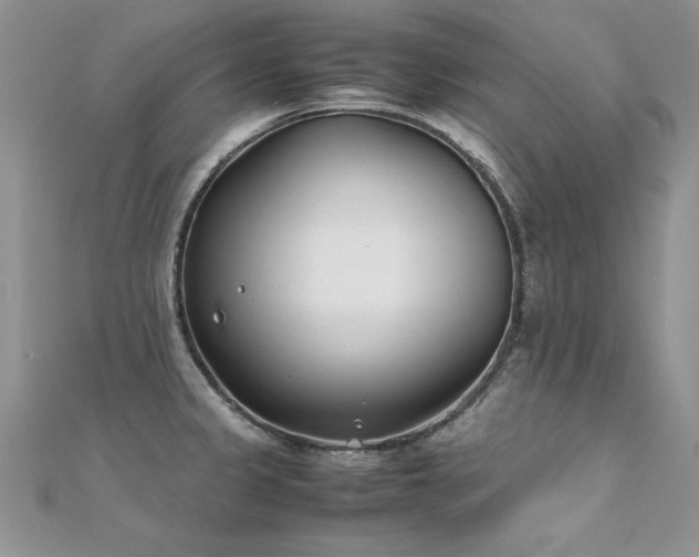 X0000112411333200908141352