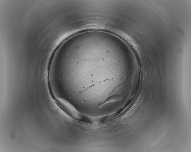 X0000112411334200908141352