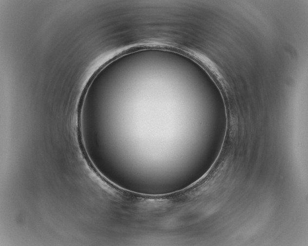 X0000112411335200908141352