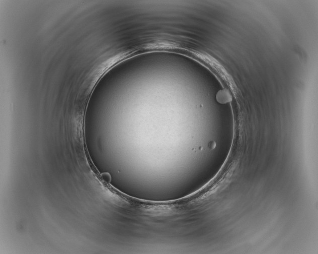 X0000112411337200908141352