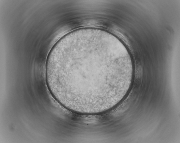 X0000112411338200908141352