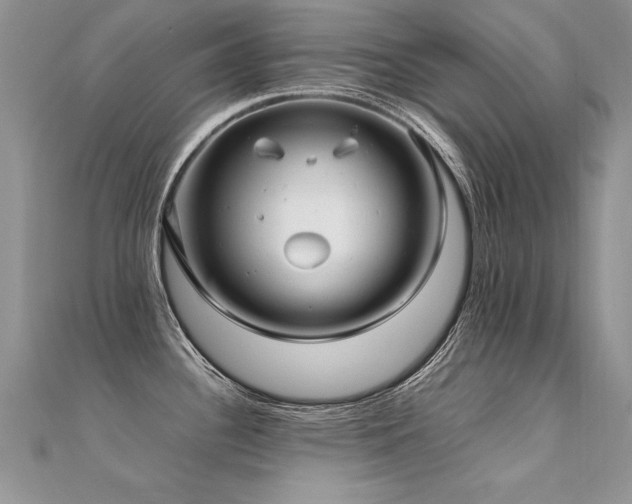 X0000112411340200908141352