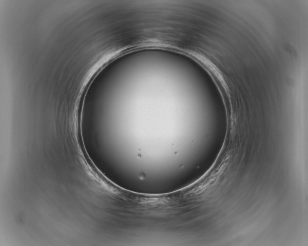 X0000112411341200908141352