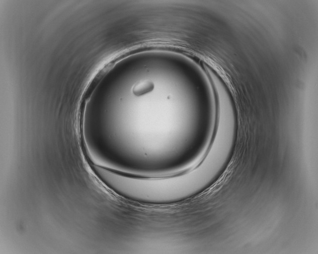 X0000112411342200908141352