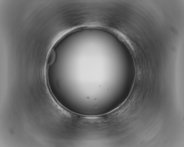 X0000112411343200908141352