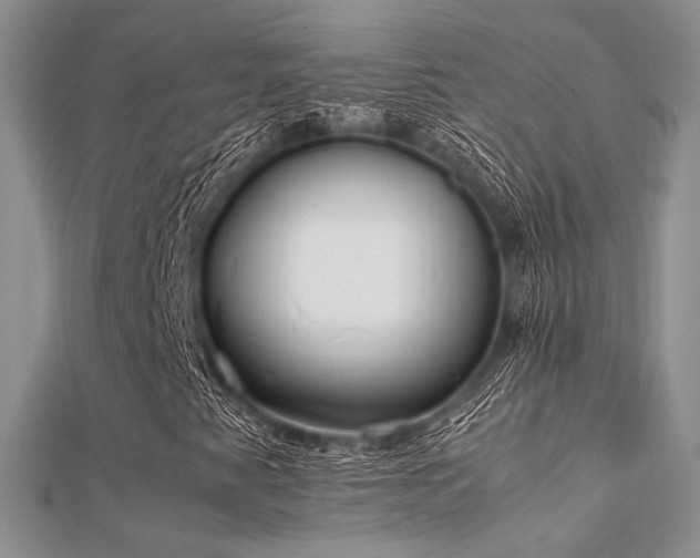 X0000112411345200908141352