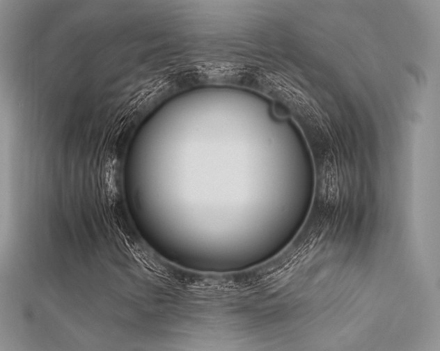 X0000112411346200908141352