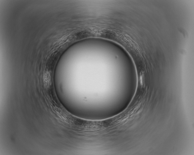 X0000112411347200908141352