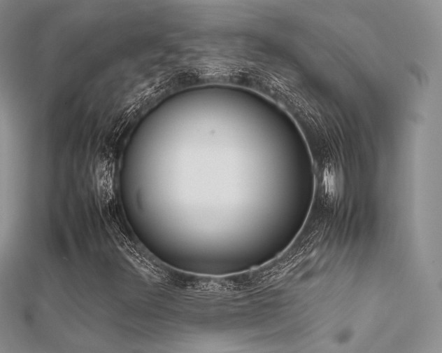 X0000112411348200908141352