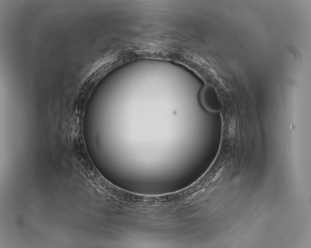 X0000112411350200908141352