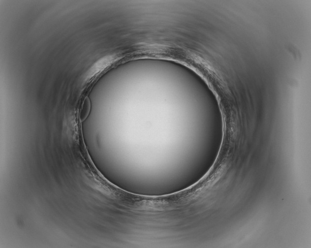 X0000112411354200908141352