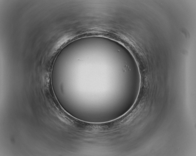 X0000112411355200908141351