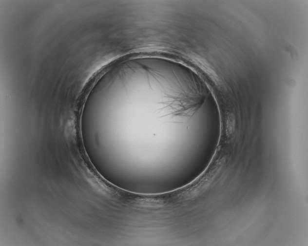 X0000112411356200908141351