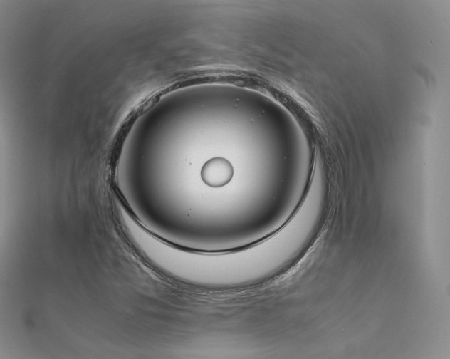 X0000112411357200908141351