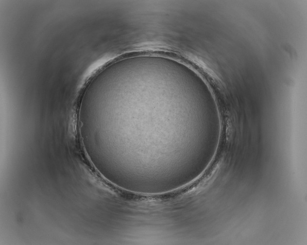 X0000112411358200908141351