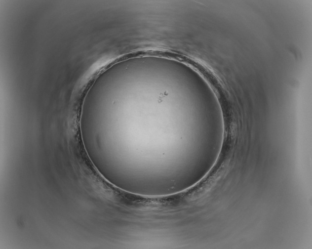X0000112411359200908141351