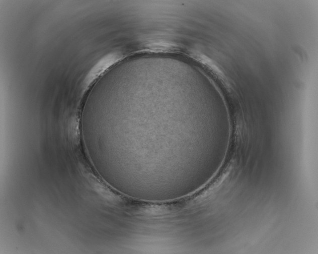 X0000112411362200908141351