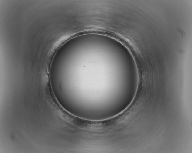 X0000112411363200908141351