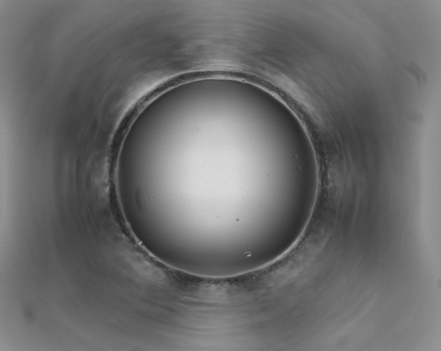 X0000112411364200908141351