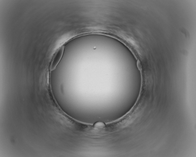 X0000112411365200908141351