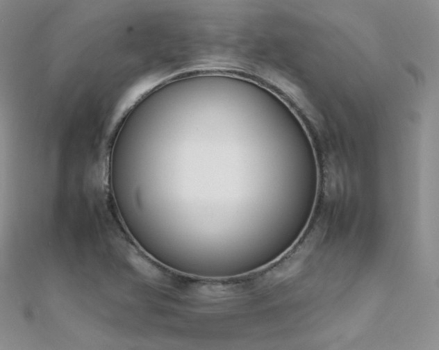 X0000112411366200908141351