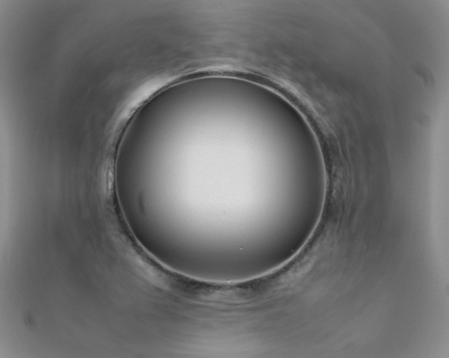 X0000112411367200908141351