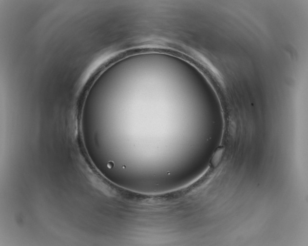 X0000112411368200908141351