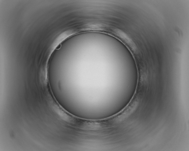 X0000112411370200908141351