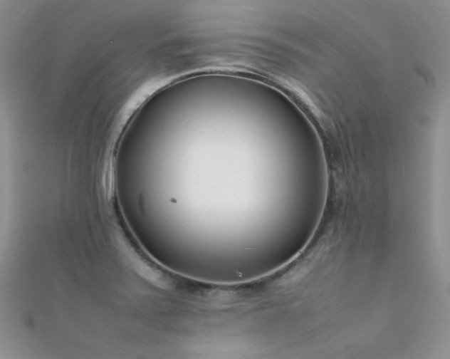 X0000112411371200908141351