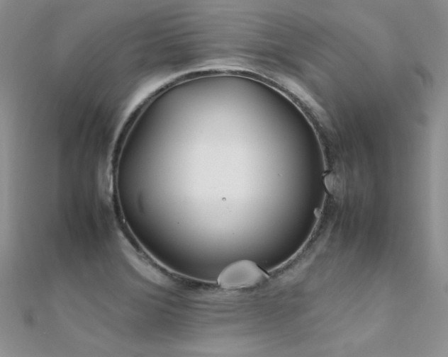X0000112411372200908141351