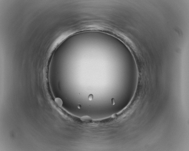 X0000112411373200908141351