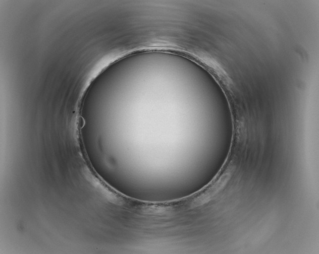 X0000112411374200908141351