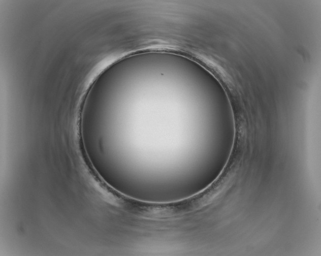 X0000112411375200908141351