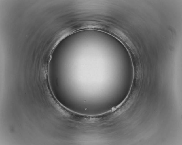 X0000112411377200908141351