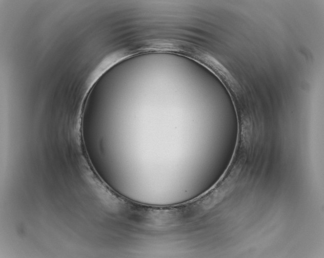 X0000112411378200908141351