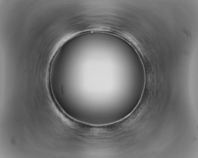 X0000112411379200908141351